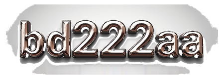 bd222aa logo